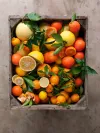 citrus fruit box