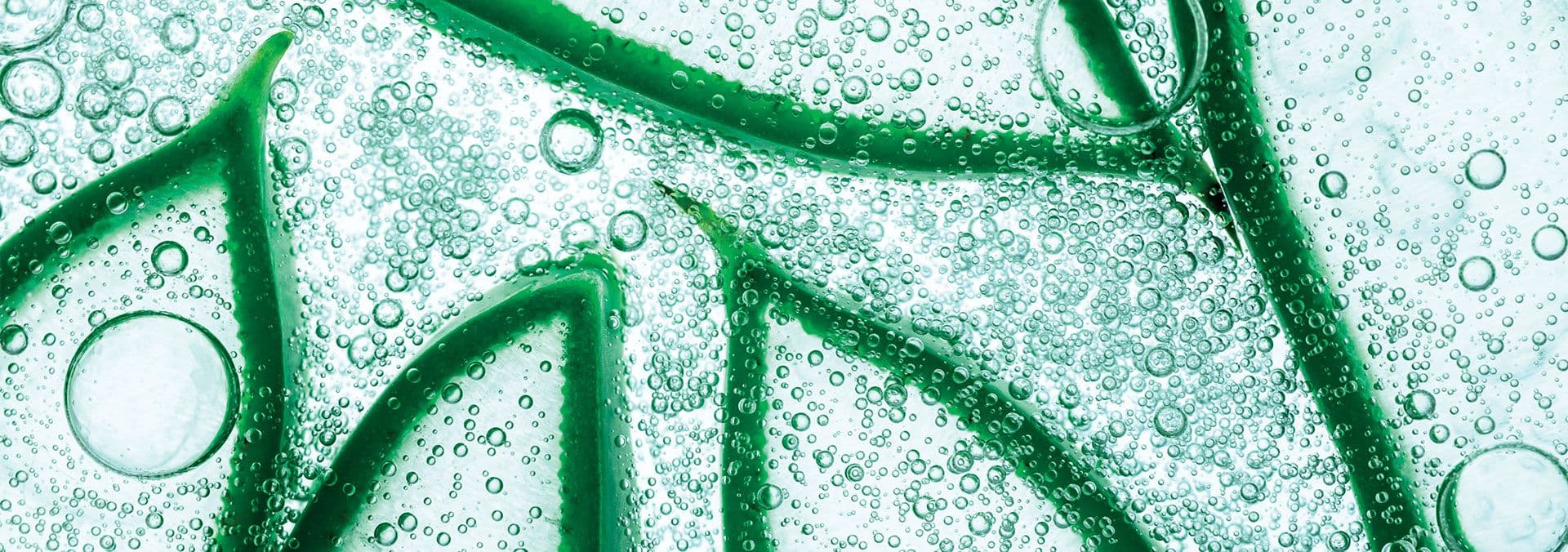 Deep cleansing line 