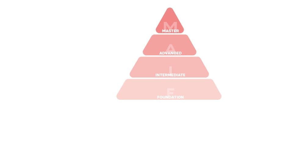 Career path pyramid