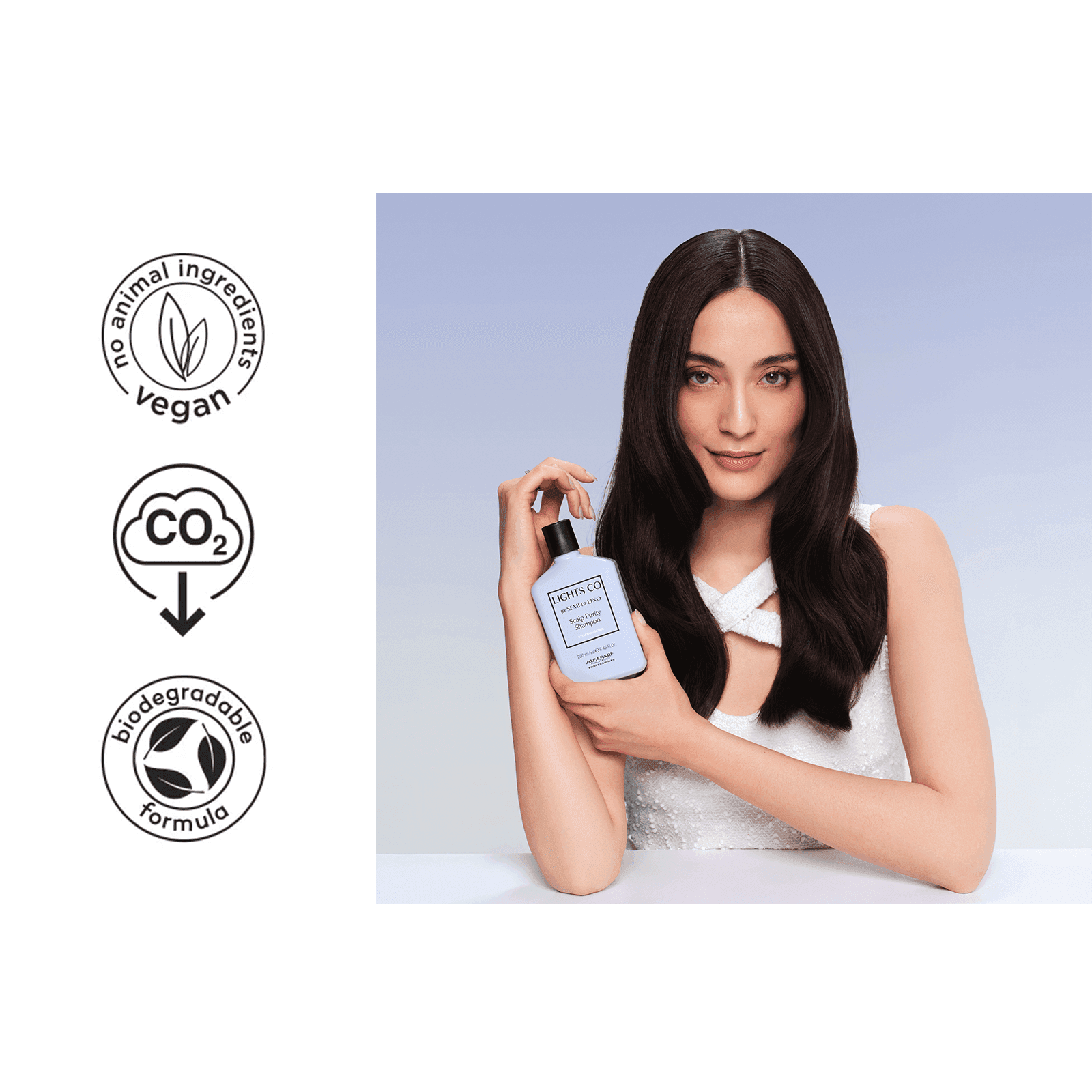 model and product