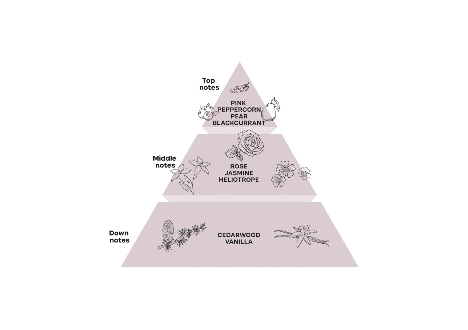 Piramide_Eng