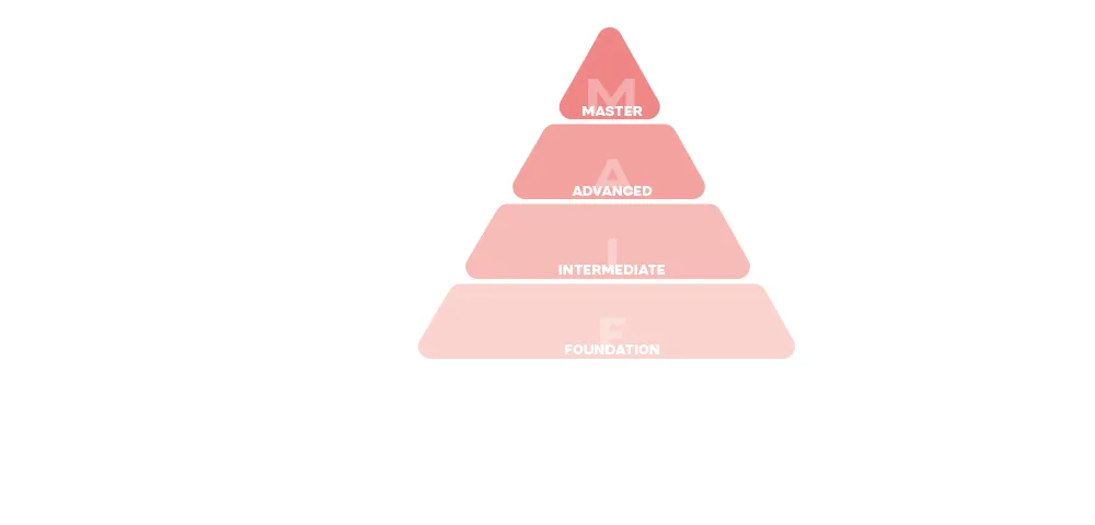 piramide-edu ENG.jpg