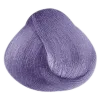 Ultra Violet - 7UV