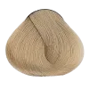 Beige - 10.31 Lightest Blonde Golden Ash